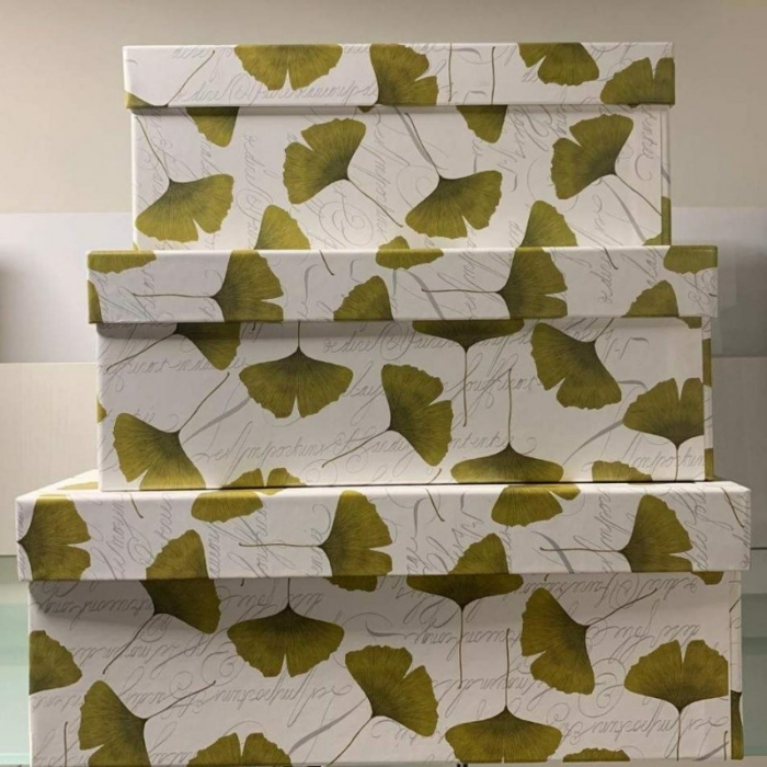 Scatola Grande - Rettangolare - Fantasia - Ginko Biloba