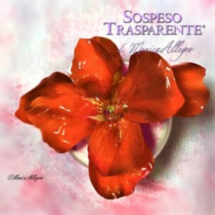 Kit Mini Pellicola - Fiore Red - immagine 3