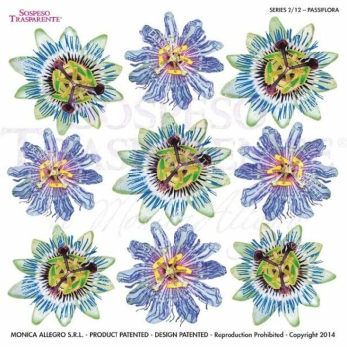 Pellicola Modellabile - Passiflora