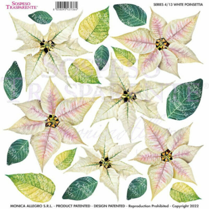 Pellicola Modellabile - White Poinsetia
