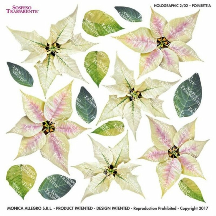 Pellicola Olografica Modellabile - White Poinsetia